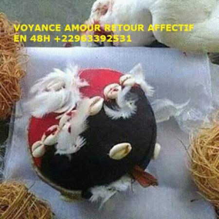 Achat : Meilleur medium voyant 002290163392531  (Autres services) - Autres services neuf et d'occasion - Achat et vente