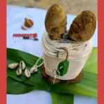 Meilleurs Voyant En France Tél : +22960663782 What (Asie Du Sud-est) - Asie Du Sud-est neuf et d'occasion - Achat et vente