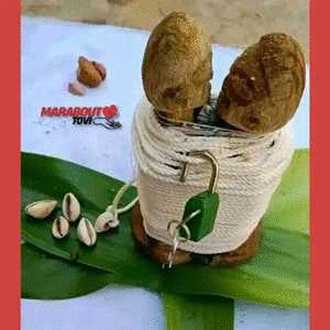 Retour affectif amoureux immédiat tél :+2296192071