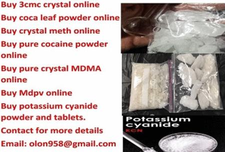 Buy **pure  MDMA** XTC***ecstasy*** Cocaine**