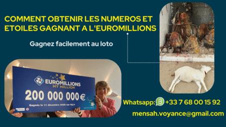 Achat : Comment gagner à l'euromillions plus facilement ?  (Autres services) - Autres services neuf et d'occasion - Achat et vente