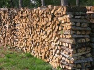 Grande promotion de bois de chauffages